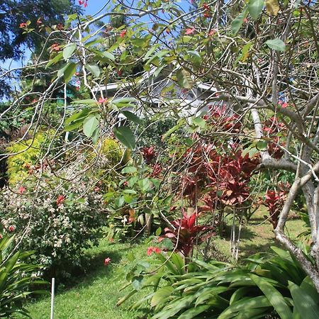 Gingerbread Cottage And Studio Fiji ซาวูซาวู ภายนอก รูปภาพ